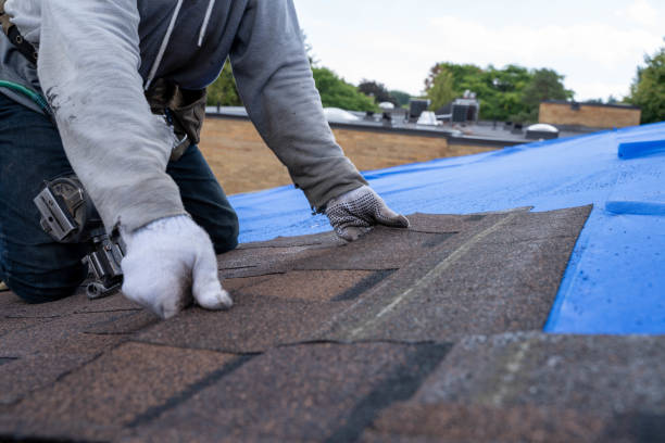 Best Roof Maintenance and Cleaning  in Summerville, GA