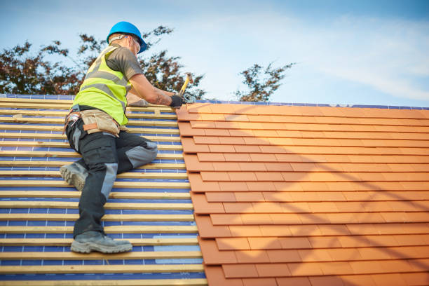 Best Skylight Installation and Repair  in Summerville, GA